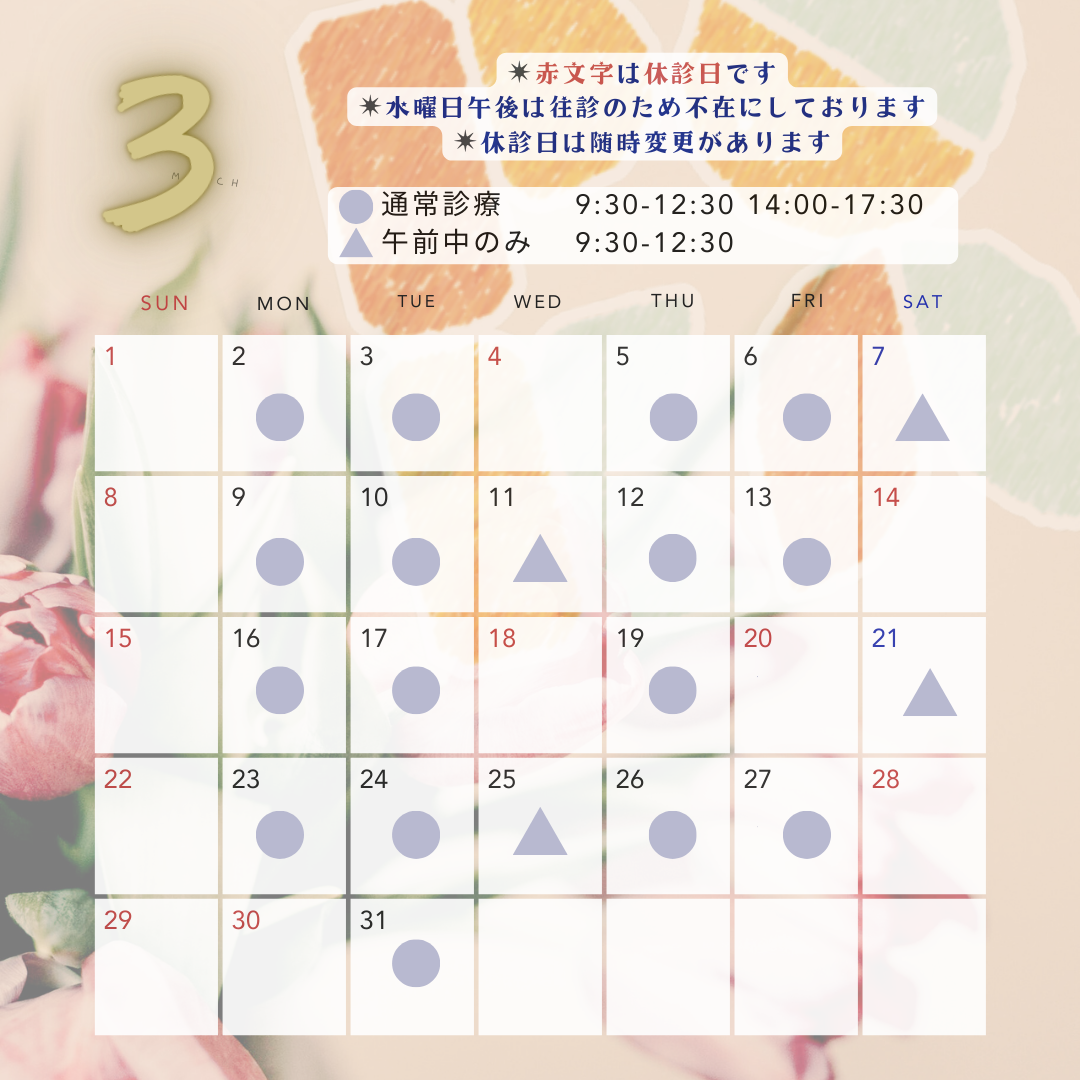 ＊3月診療日＊